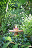 Etagere STAND natuhr - www.wanduhr.de