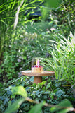 Etagere STAND natuhr - www.wanduhr.de